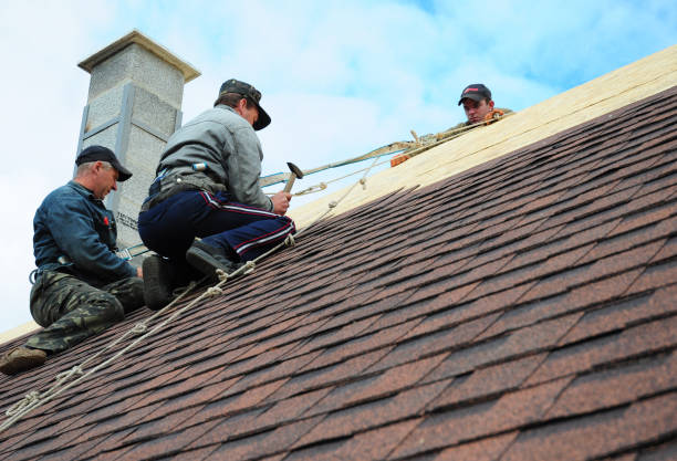 Best Metal Roofing Contractor  in Oskaloosa, KS